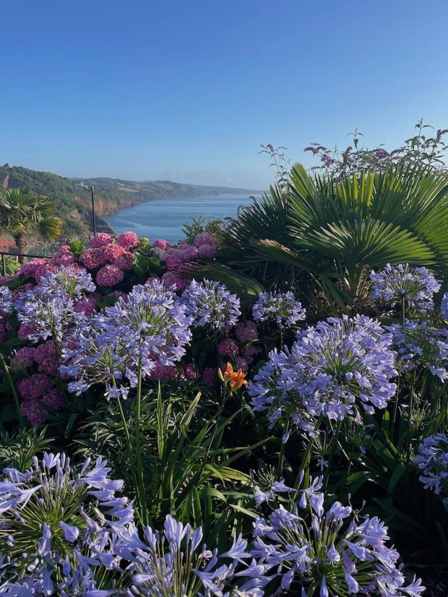 Headland View Boutique B&B Torquay Zewnętrze zdjęcie